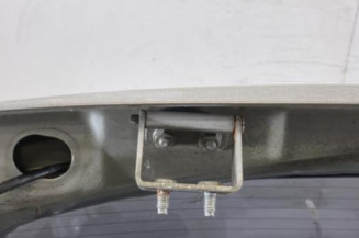 Malle/Hayon arriere NISSAN QASHQAI 1