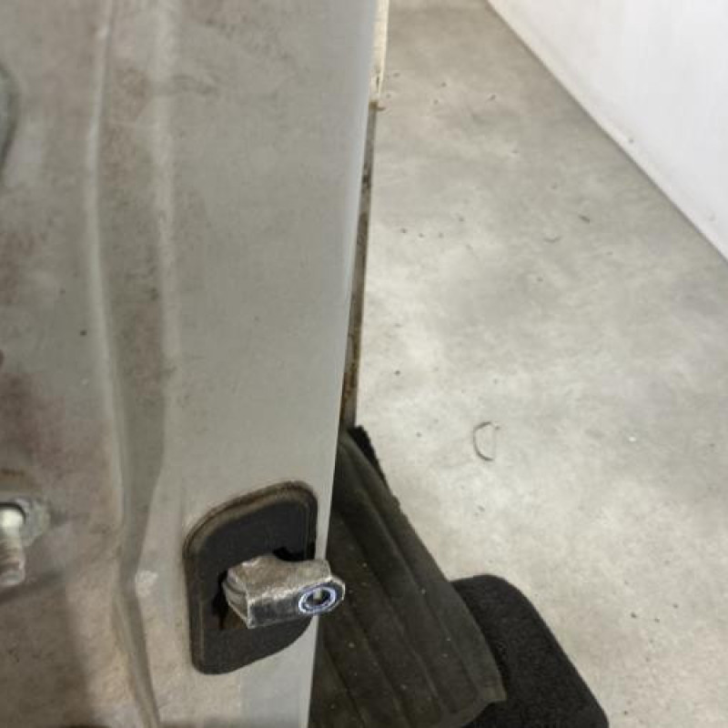Porte arriere droit NISSAN QASHQAI 1 Photo n°4