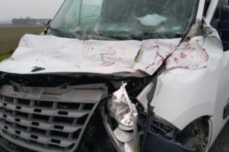 Custode avant gauche (porte) RENAULT MASTER 3