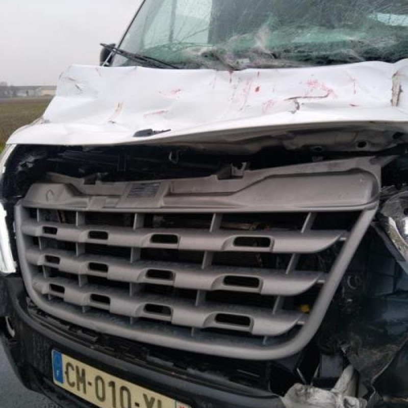 Custode avant gauche (porte) RENAULT MASTER 3 Photo n°18