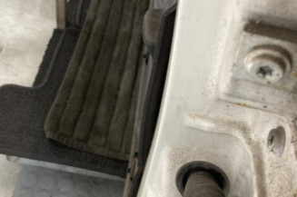 Porte avant gauche VOLKSWAGEN POLO 3