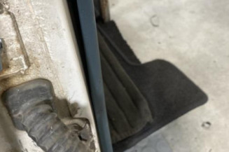 Porte avant droit RENAULT EXPRESS