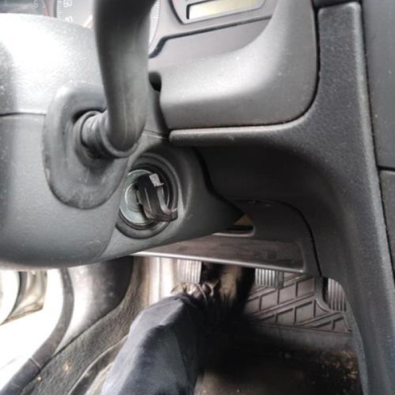 Porte arriere gauche VOLVO S 40 1 Photo n°16