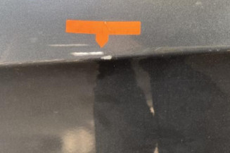 Porte avant gauche CITROEN DS5