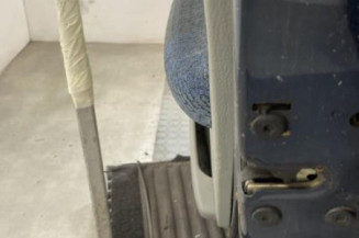 Porte arriere droit RENAULT SCENIC 1