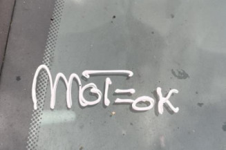 Porte arriere droit RENAULT SCENIC 1