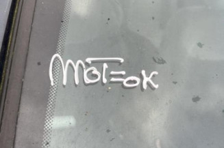 Porte arriere droit RENAULT SCENIC 1