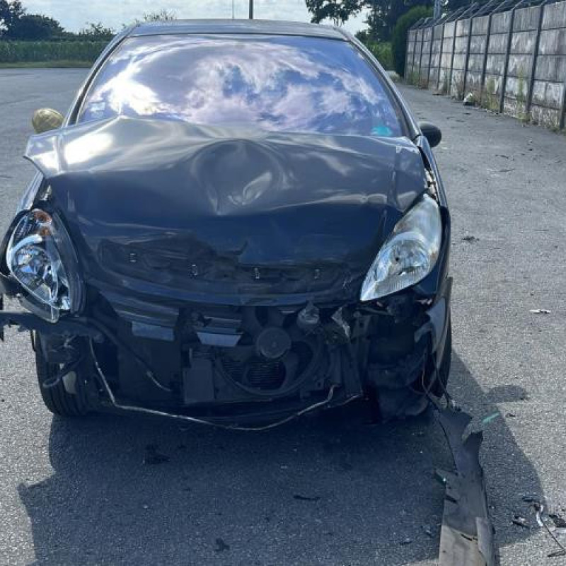 Feu arriere principal gauche (feux) CITROEN XSARA PICASSO Photo n°5