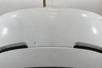 Capot IVECO DAILY 3 Photo n°1