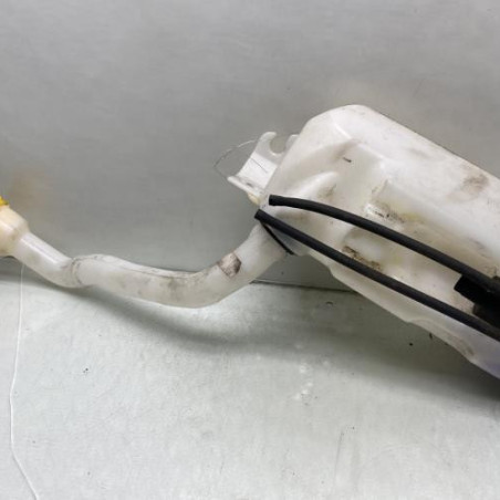 Vase de lave glace RENAULT ZOE 1