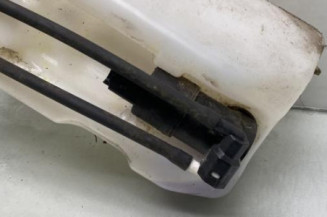 Vase de lave glace RENAULT ZOE 1