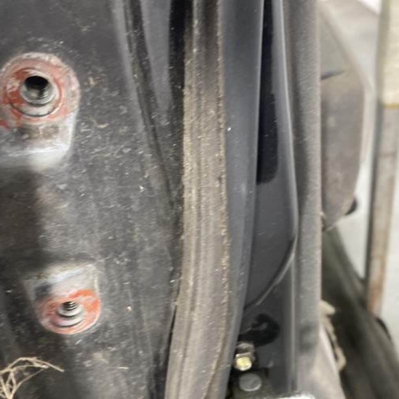 Porte arriere droit SSANGYONG REXTON 1 Photo n°4