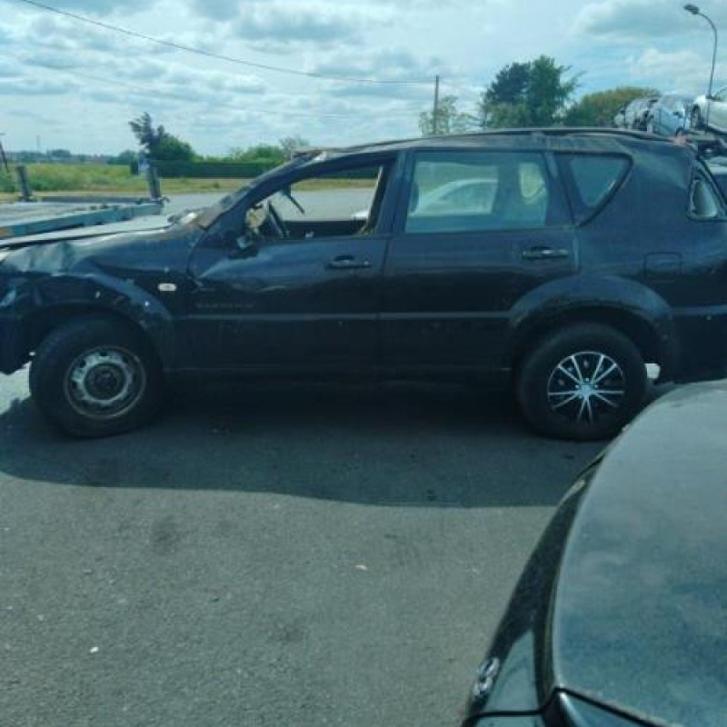 Porte arriere droit SSANGYONG REXTON 1 Photo n°9