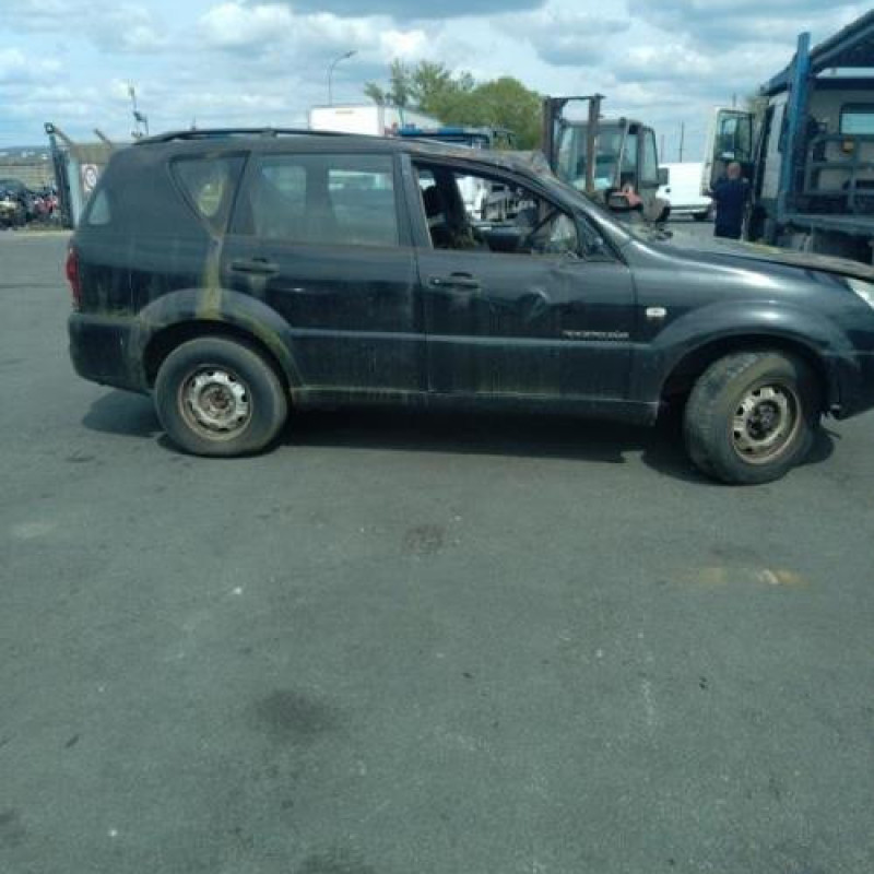 Porte arriere droit SSANGYONG REXTON 1 Photo n°13