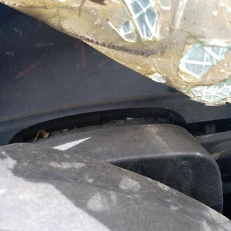 Porte arriere droit SSANGYONG REXTON 1 Photo n°14