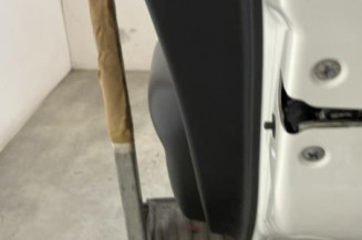 Porte arriere droit NISSAN JUKE 1