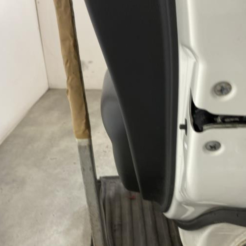 Porte arriere droit NISSAN JUKE 1 Photo n°3