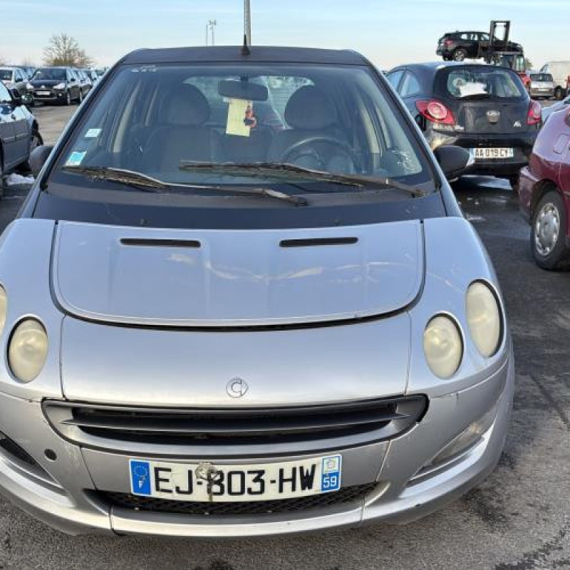 Porte arriere droit SMART FORFOUR 1 Photo n°13