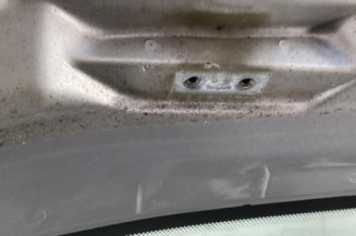 Malle/Hayon arriere CITROEN XSARA PICASSO