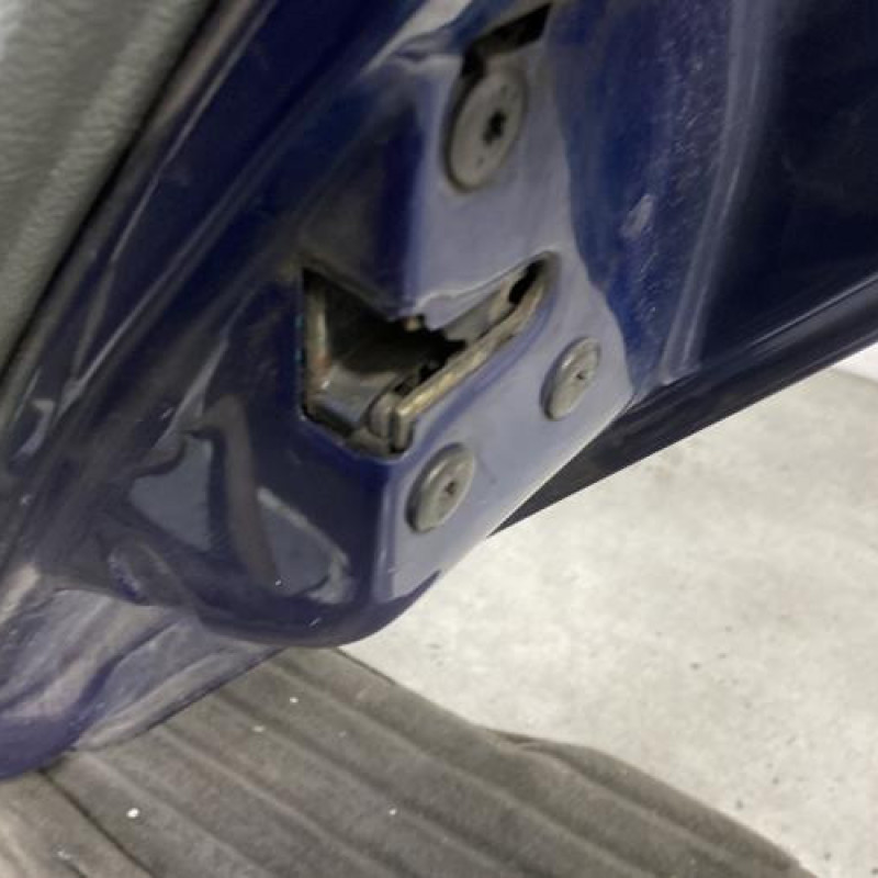 Porte arriere droit RENAULT CLIO 2 Photo n°3