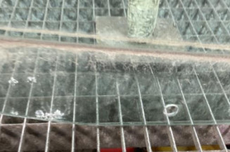 Vitre avant droit RENAULT CLIO 2