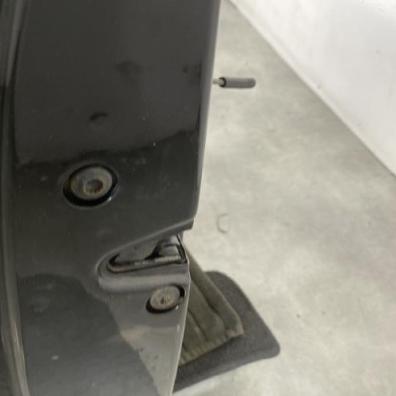 Porte avant gauche VOLKSWAGEN GOLF 4 Photo n°3