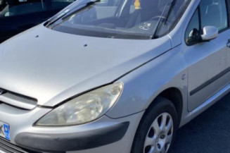 Aile avant droit PEUGEOT 307