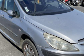 Aile avant droit PEUGEOT 307