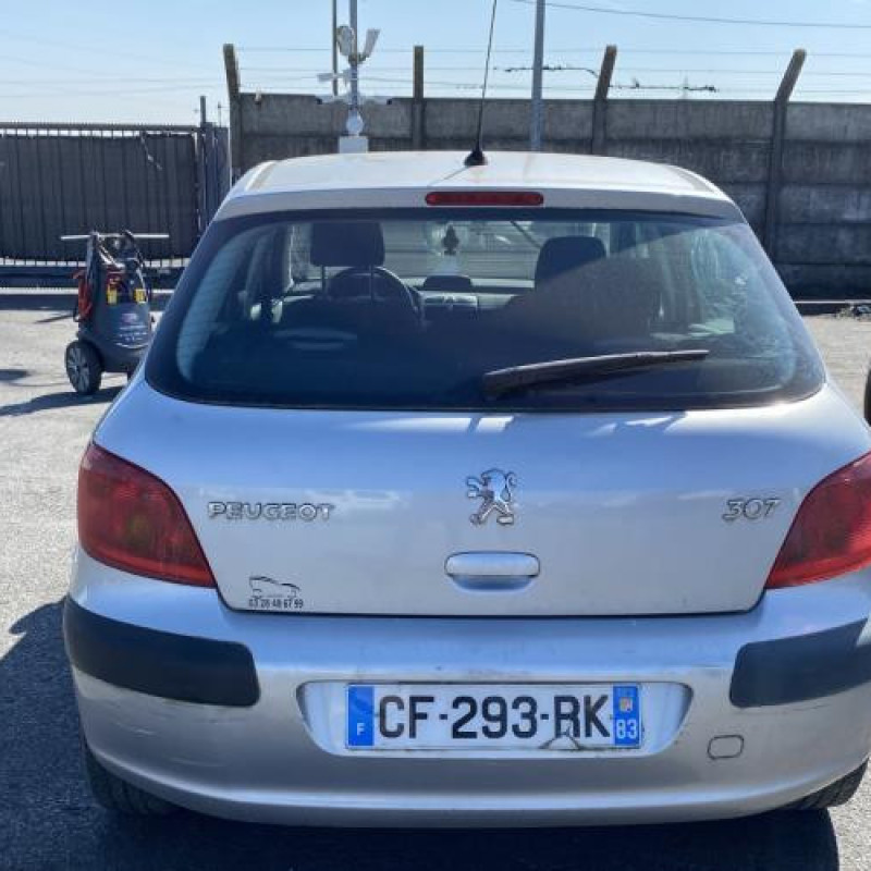 Malle/Hayon arriere PEUGEOT 307 Photo n°15