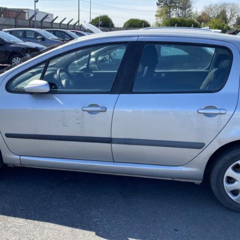 Malle/Hayon arriere PEUGEOT 307 Photo n°16