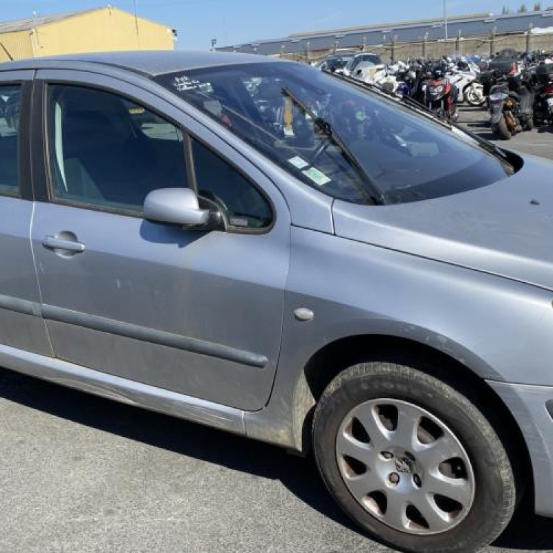 Malle/Hayon arriere PEUGEOT 307 Photo n°17