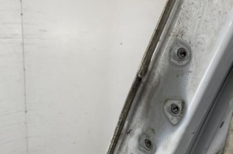 Porte de coffre droit RENAULT TRAFIC 3 COURT