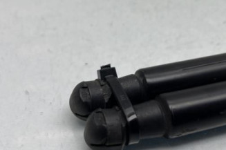 Verin de coffre BMW SERIE 1 F21