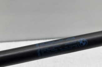 Verin de coffre BMW SERIE 1 F21