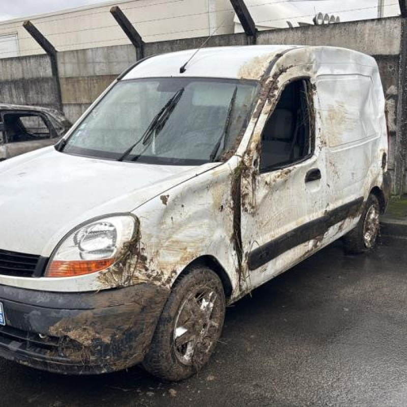 Baguette de porte avant gauche RENAULT KANGOO 1 Photo n°5