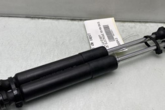 Verin de capot RENAULT ZOE 1