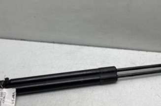 Verin de coffre CITROEN DS5