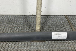 Baguette de porte arriere droite RENAULT CLIO 2 Photo n°1