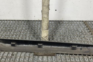 Baguette de porte arriere droite RENAULT CLIO 2