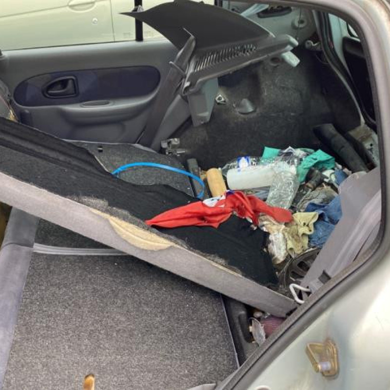 Baguette de porte arriere droite RENAULT CLIO 2 Photo n°15