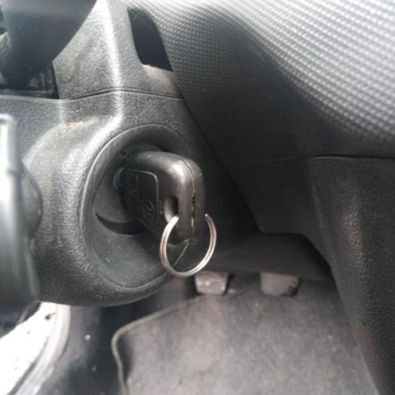 Porte arriere droit PEUGEOT 206+ Photo n°11