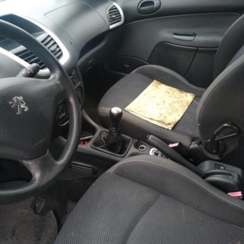 Porte arriere droit PEUGEOT 206+ Photo n°17