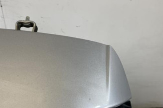 Malle/Hayon arriere VOLKSWAGEN POLO 5