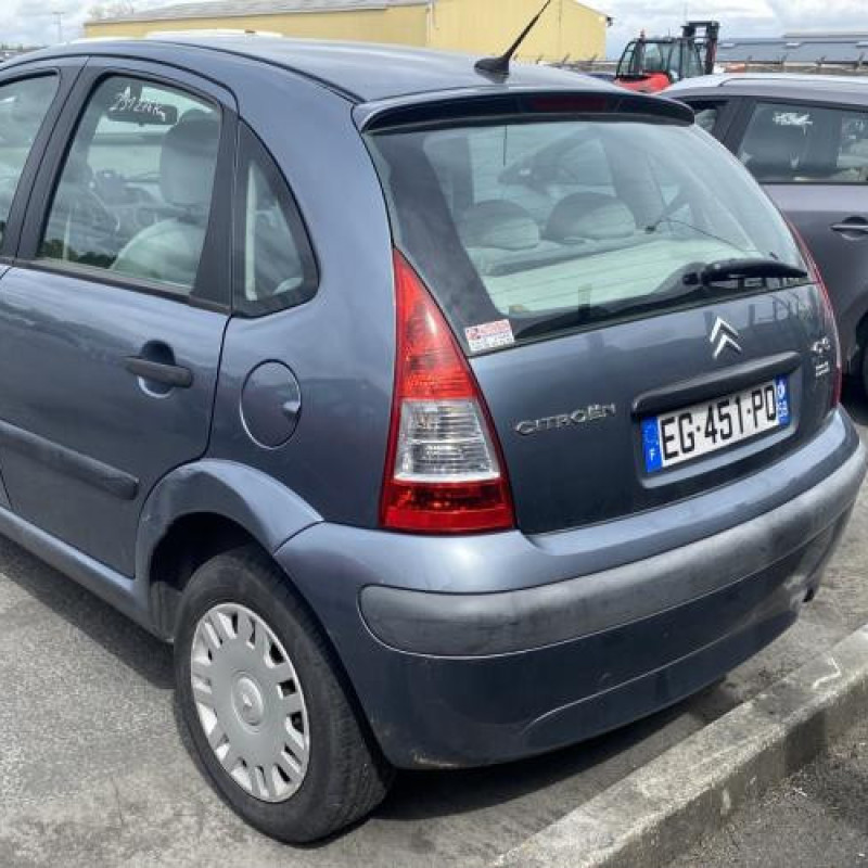 Porte arriere droit CITROEN C3 1 Photo n°11
