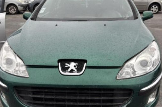 Glace retroviseur gauche PEUGEOT 407