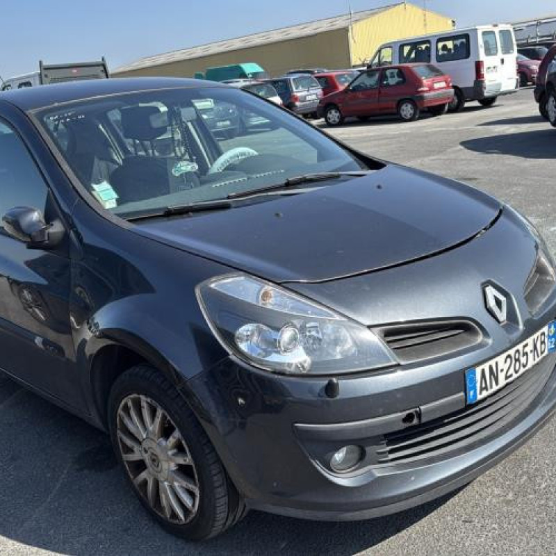 Malle/Hayon arriere RENAULT CLIO 3 Photo n°13