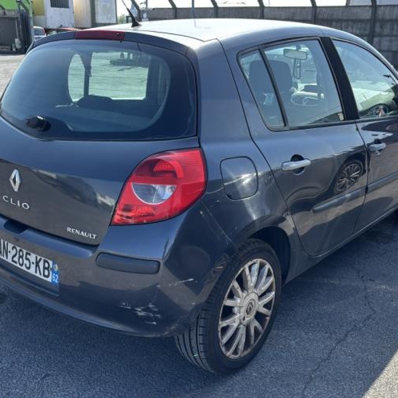Malle/Hayon arriere RENAULT CLIO 3 Photo n°14