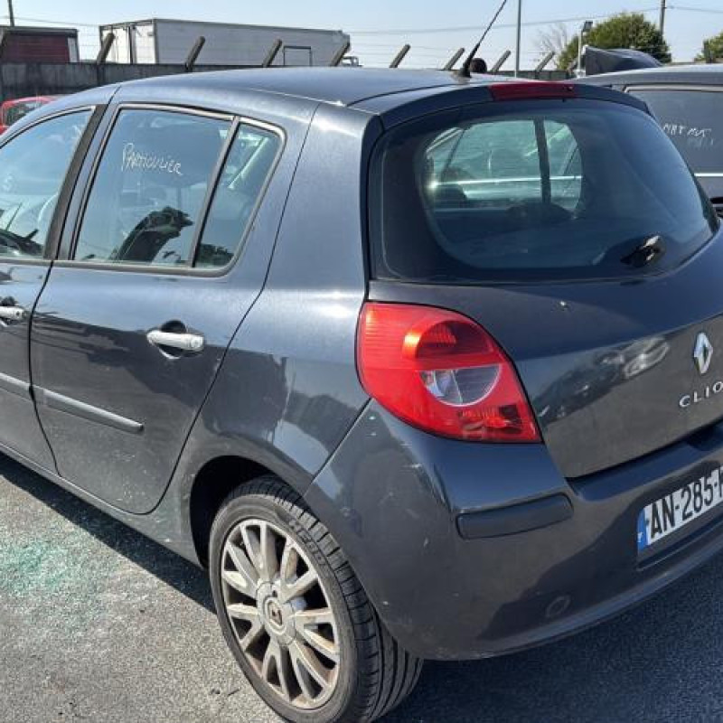 Malle/Hayon arriere RENAULT CLIO 3 Photo n°15