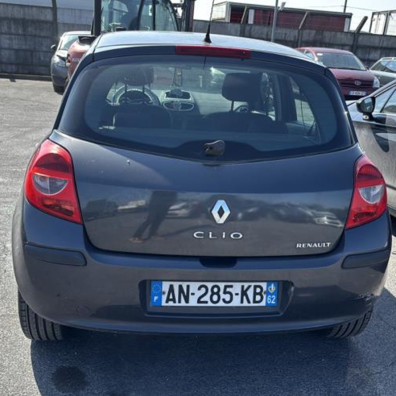 Malle/Hayon arriere RENAULT CLIO 3 Photo n°16