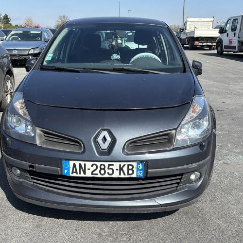 Malle/Hayon arriere RENAULT CLIO 3 Photo n°19